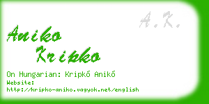 aniko kripko business card