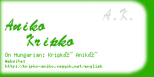 aniko kripko business card